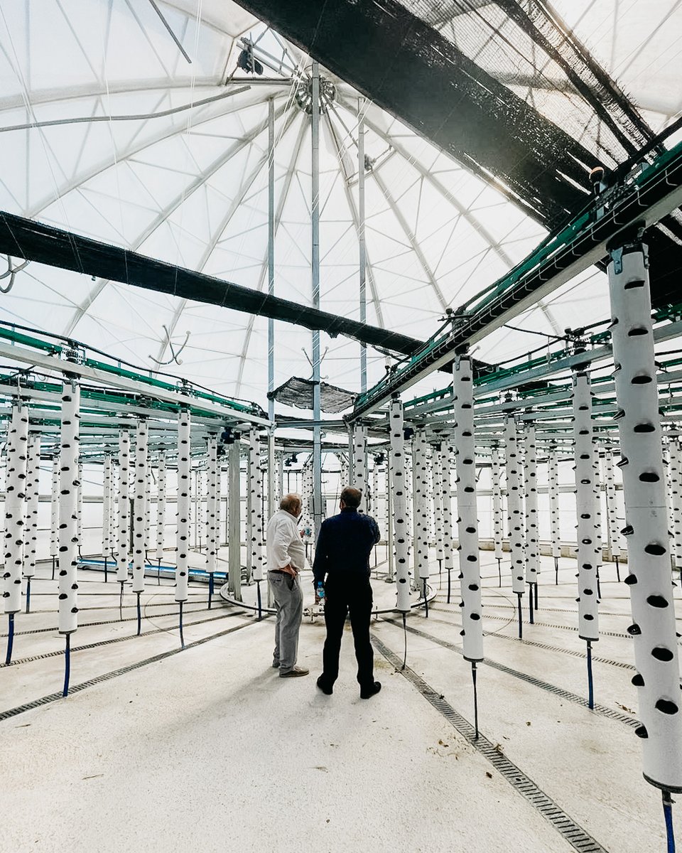 ✅GREENDOMO project certified by CDTI

The #innovation project began its development in 2018 by #novagric and <a href="/CTTecnova/">CT Tecnova</a> , today the general and specific objectives of the project have been achieved:
develop a new form of #sustainable cultivation adapted to cities🏢