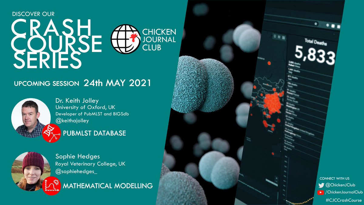 ChickenJClub's tweet photo. Join us for our final instalment of the #CJCCrashCourse where we will hear from @Keithajolley from @OxZooDept on #PubMLST and @sophiehedges_ from @RoyalVetCollege on #MathematicalModelling. 🐓 
📆 24th May
⏰ 2pm (BST)
Interested? Sign up here: https://t.co/OUEHPcJZQy https://t.co/5PDaHuAu3Q