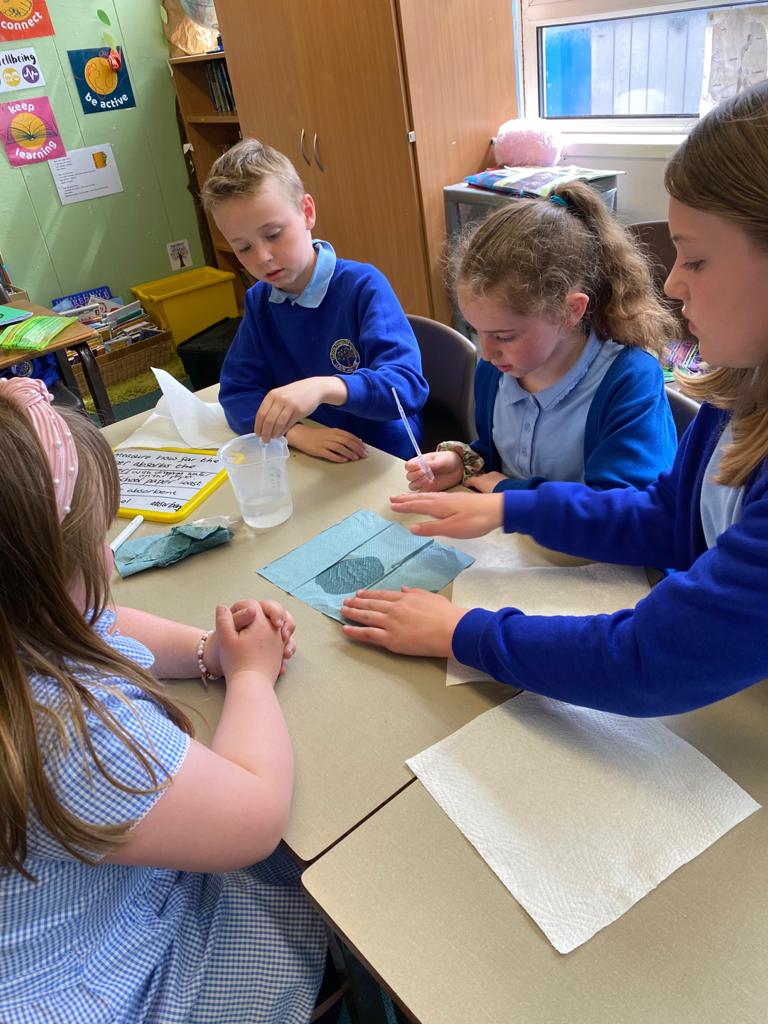 TarvinPrimary's tweet photo. Walliams class designed their own comparative fair test today comparing the absorbency of some materials #TarvinScience https://t.co/iGz9HPK6Mm