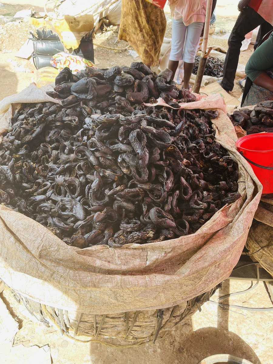 VisitCongo_'s tweet photo. 📍Lubumbashi, Province du Haut-Katanga 

Les différents aliments dont cette maman vend dans ce petit marché de Lubumbashi sont les suivants: Ndakala (les fretins), kambanioka, Mbisi ya kokawuka (poissons séchés), Makayabu (poissons salés), l'huile de palme
#VisitCongo #Lubumbashi https://t.co/MslZmEEHxq