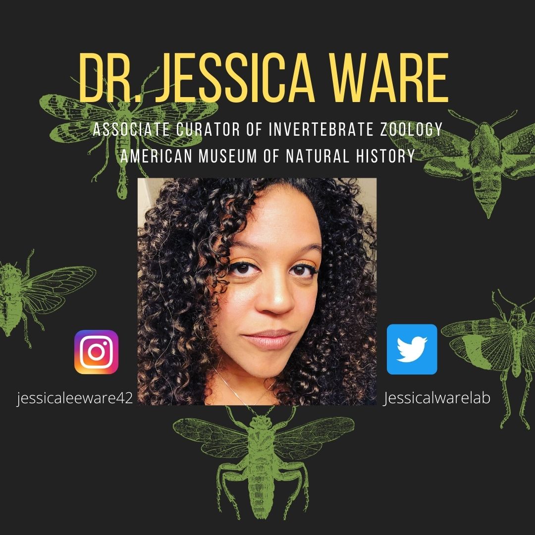 GivingSpacePod's tweet image. New Episode! We're joined by the incredible @JessicaLWareLab to discuss Entomology, her research and path to becoming a scientist and curator, and diversity in science. 
#diversityinstem #BlackInEnto #research #science #blackscientists #STEM #insects #podcast #curator