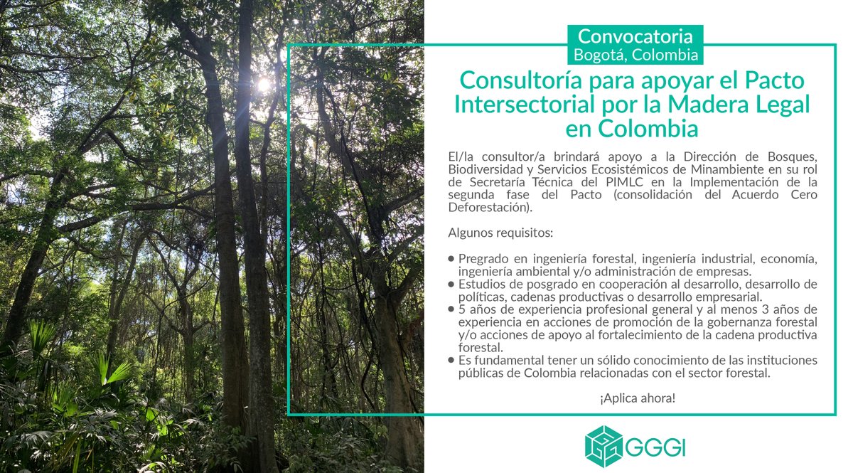 GGGICol's tweet photo. #Convoctoria #TrabajoSíHay | Con @NoruegaenCOL, apoyaremos a @MinAmbienteCo en la 2da fase del #PIMLC para fortalecer el control de la deforestación a través de la #EconomíaForestal y el consumo legal y sostenible de productos forestales.📌Plazo: 25/05

🔗 https://t.co/axS2HAm4XV https://t.co/vB12le0C3J