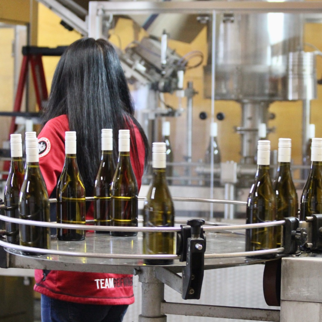 Reifwinery's tweet photo. Take a look #BehindTheScenes in our bottling room. Patty and the team have been working hard to prepare our new blend, 2019 Chardonnay Semillon. Gold Wine Club Members will have an opportunity to purchase the pre-release wine starting June 1st. #VQAWines #Reifstyle #LoveLocal https://t.co/BNuJrslEBG