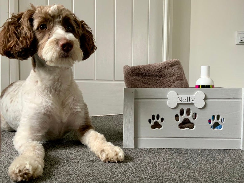 Mijopets's tweet photo. We are now selling our personalised pet boxes for ONLY £15.99 with FREE delivery!
Buy now on Etsy or message us on Twitter to purchase via PayPal.
https://t.co/4XTe3jIXt5 https://t.co/RTtfeJgcqi