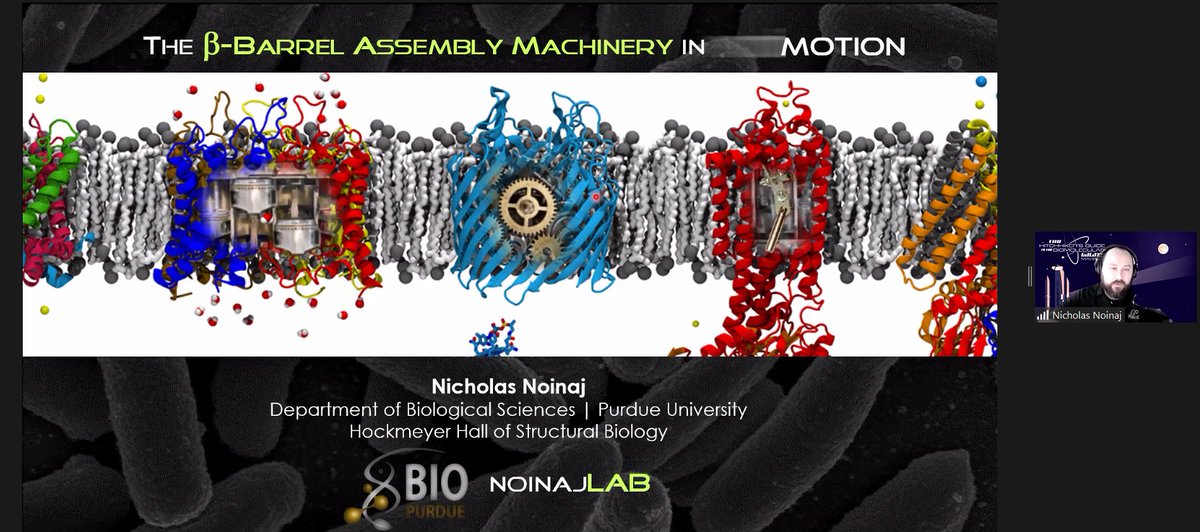 Dr. Nick Noinaj @noinajlab kicked off our second day of talks at the virtual HGBG symposium by presenting his group's extensive work on characterizing BAM complex assembly and function. @PurdueScience @PurdueBiolSci