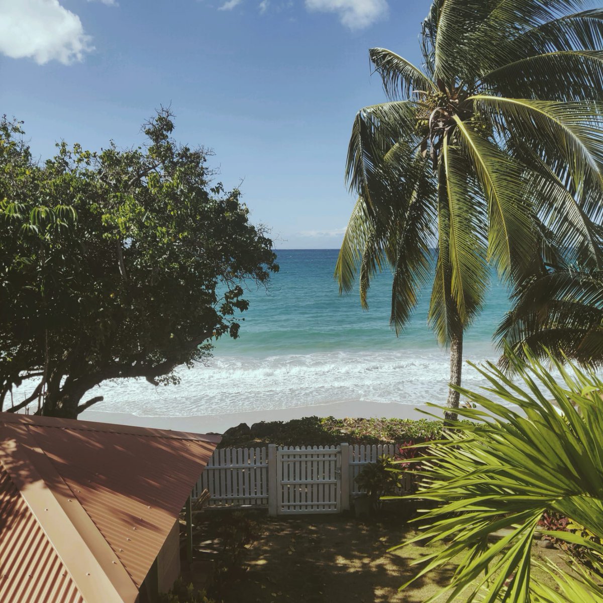 « Misty mornin'
Don't see no sun
I know you're out there somewhere
Having fun »
#BobMarley / Misty Morning
#Views