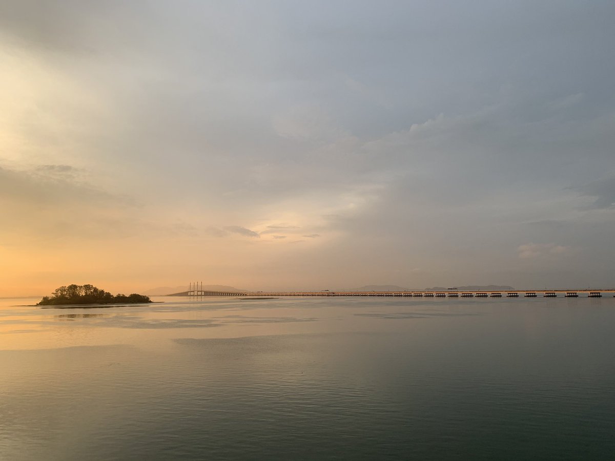 Sarah Findlater tweet media