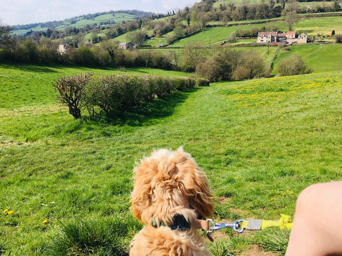 Royal High School PSHEE tweet media