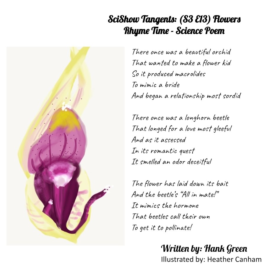 KittiiFox's tweet photo. I finally began my goal of typing up and illustrating my favorite #sciencepoems from @SciShowTangents The first one from @hankgreen ❤ https://t.co/gxH2oBhclT