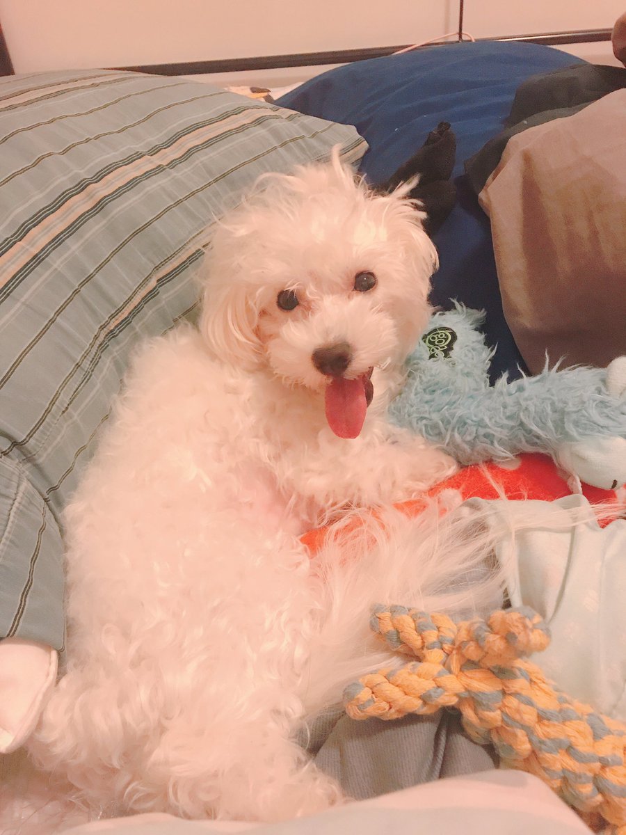 LuckyElie @aesthelie3173 tweet media