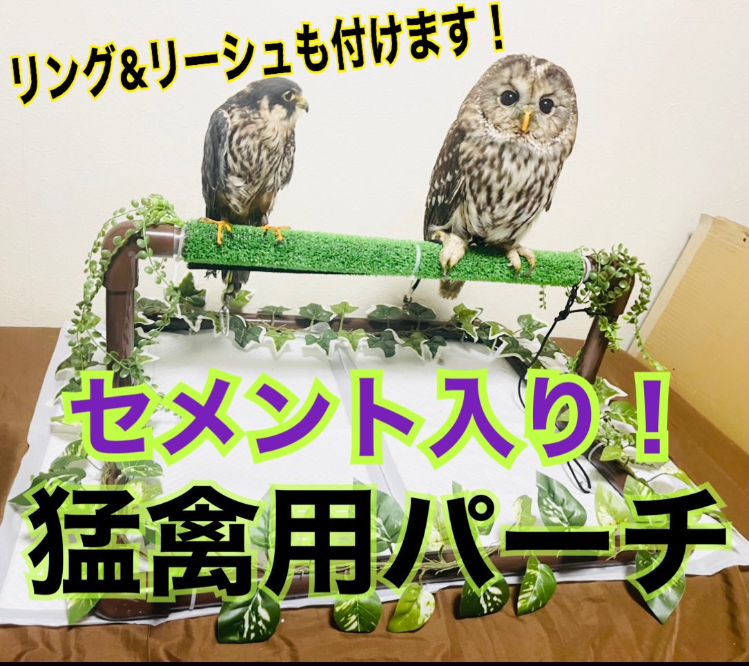 オーダー用】フクロウ用 パーチ、ファルコンブロック 猛禽類 - 鳥用品