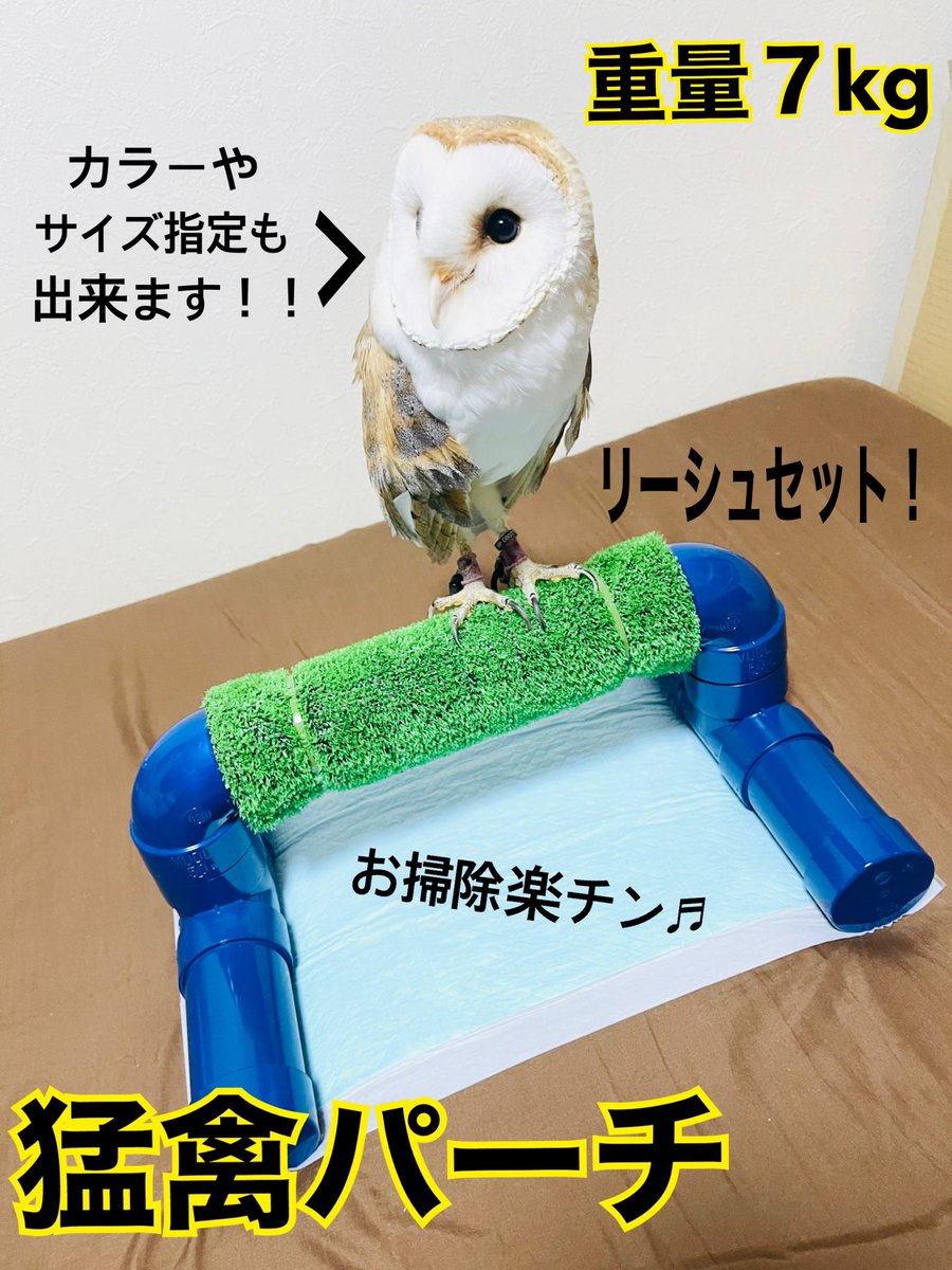 猛禽類 ボウパーチ ふくろう パーチ - 鳥用品