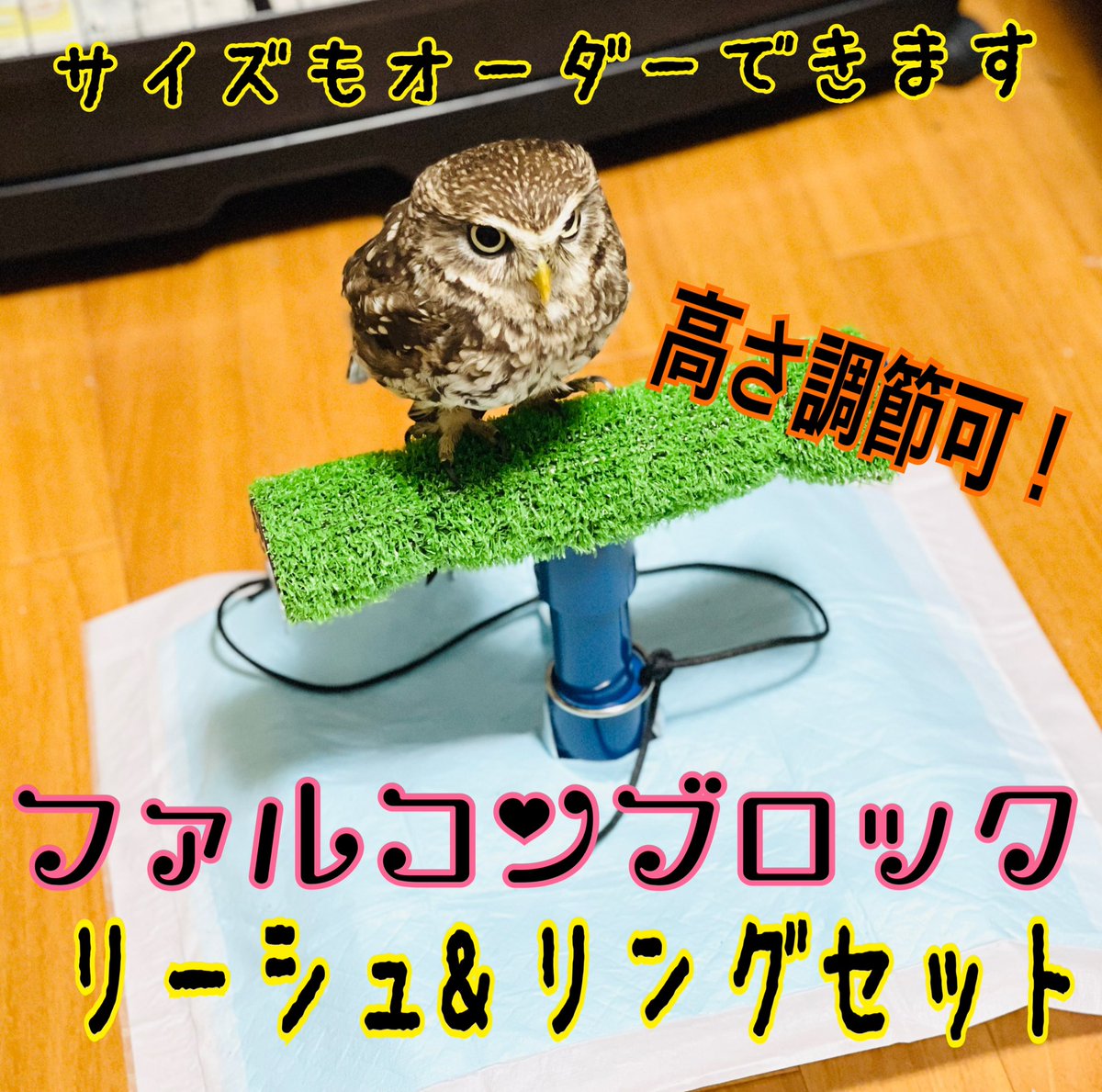 日本最級 猛禽類 一体型 ボウパーチ 小型用〜中型用 ふくろう blog.e-riverstyle.com