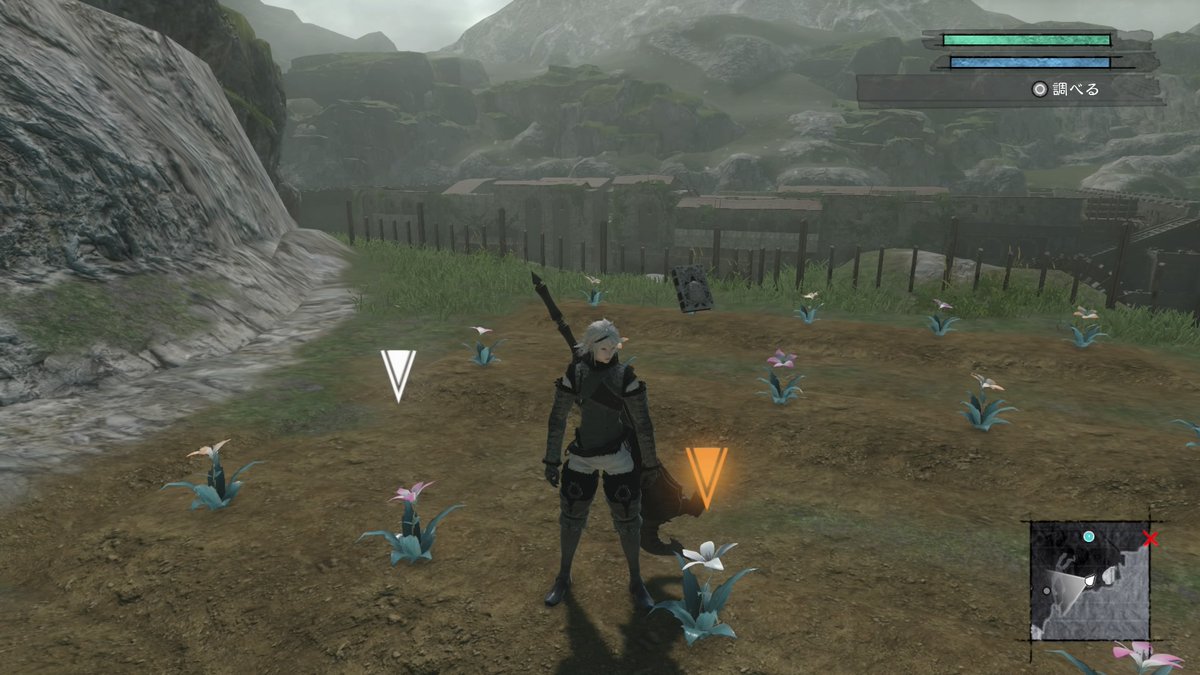 Uzivatel クマきち Na Twitteru やっとお花の栽培が終わったよ ニーアレプリカント Ps4share