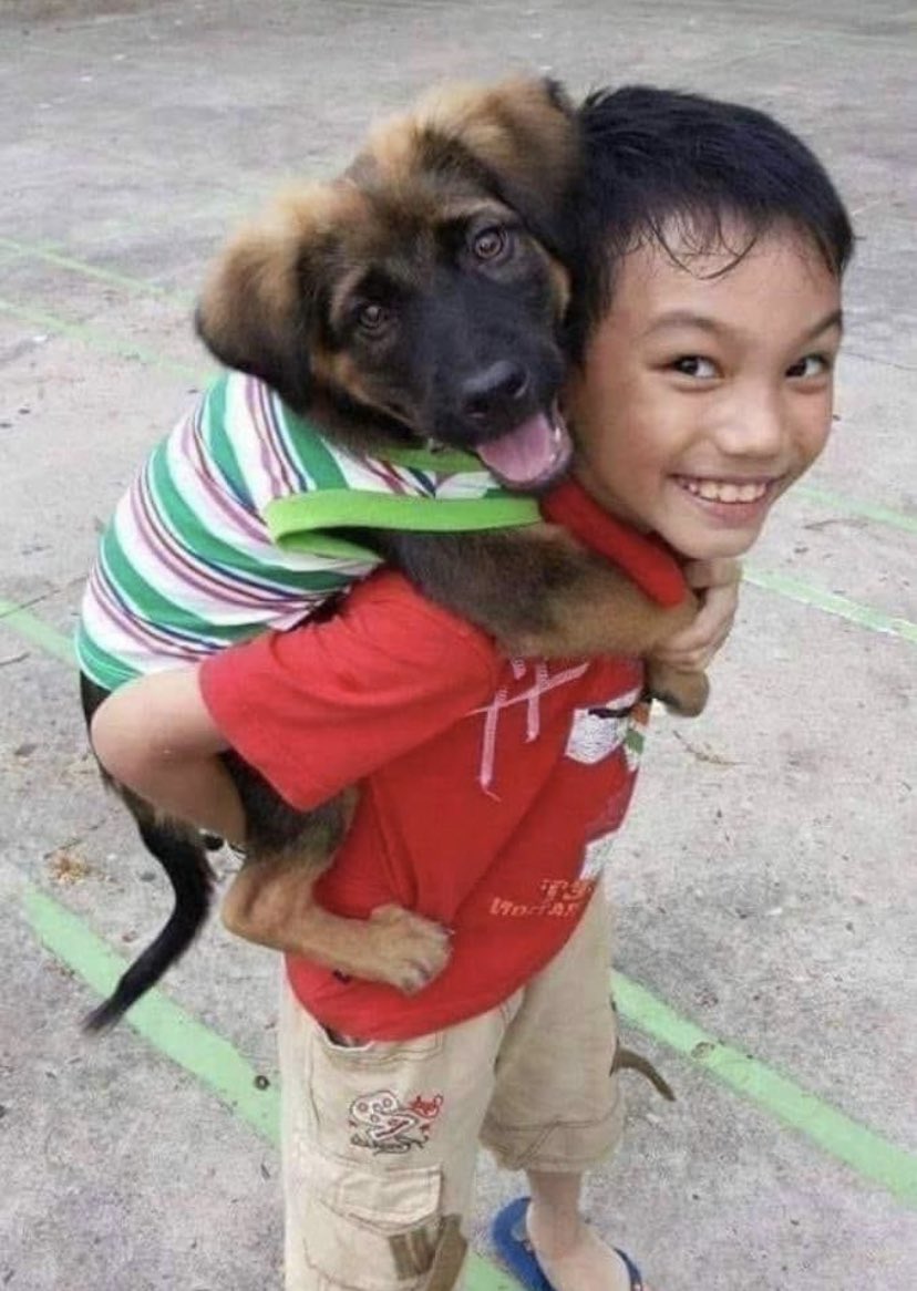 paulette01234's tweet image. World 🌍 Loyal Friends.
Dogs 🐕 👦 📖🙏🏾✍🏽🕊🕊
#Pwow