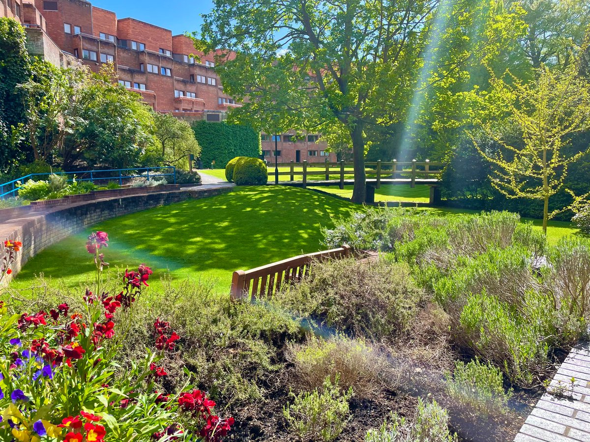 We have been out and about this week to #ConnectWithNature What have you discovered?
#MentalHealthAwarenessWeek