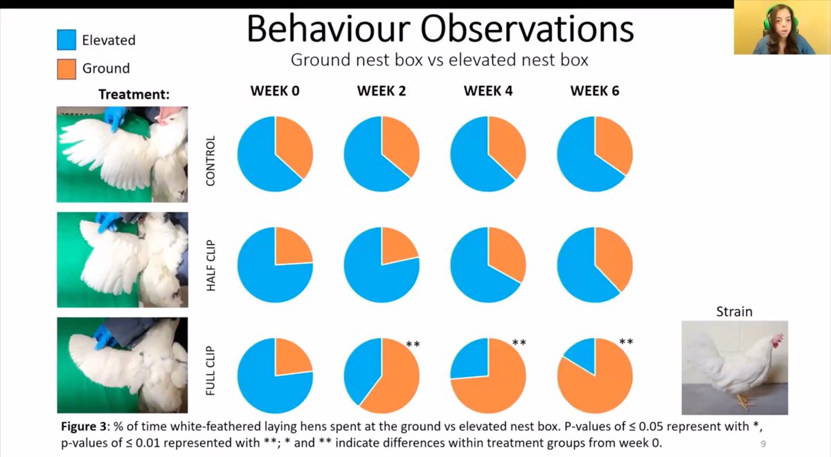 Dr. Nienke van Staaveren tweet media