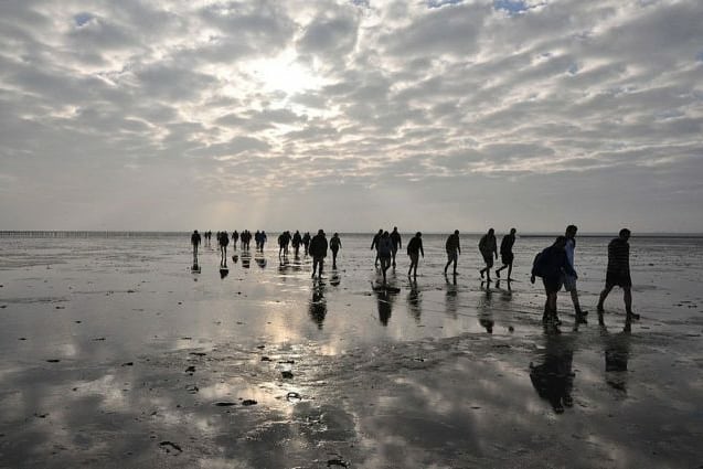 1Mhario's tweet photo. El Mar que Desaparece Dos Veces al Día ¡Y puedes cruzarlo a pie!

https://t.co/PnmTZerwdr

#Ecosistemas #Mar #MarDeWadden #Intermareas #PatrimonioDeLaHumanidad #Holanda https://t.co/DZDU4WQG7B