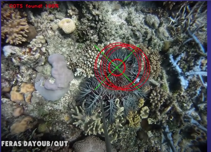 reefbuilders's tweet photo. Killer Robot Hunts Down Crown of Thorns Starfish https://t.co/8v3FjKXChJ https://t.co/rTbAs22B5l
