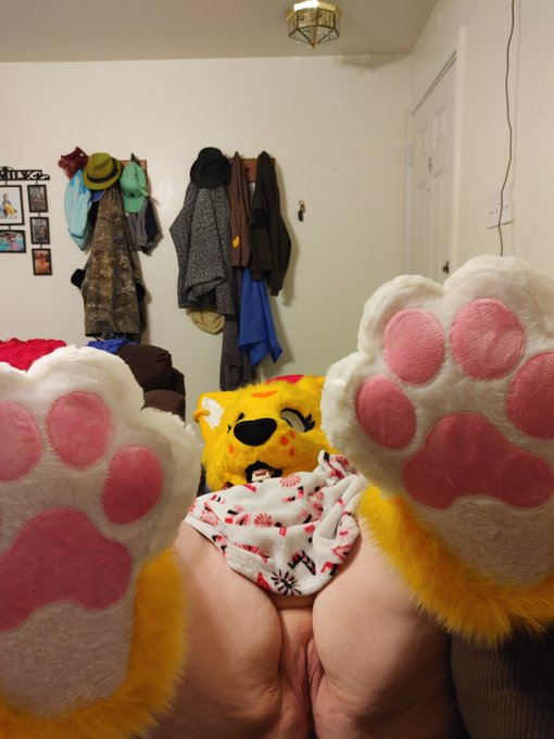 Hewwoo!!  Sorry it's been a little slow lately. Lots of stuff going on over here. But heres a picture<a href="/tag/furry"class="tags"><span>#furry</span></a><a href="/tag/yiff"class="tags"><span>#yiff</span></a><a href="/tag/fursuit"class="tags"><span>#fursuit</span></a><a href="/tag/onlyfanswife"class="tags"><span>#onlyfanswife</span></a><a href="/tag/murrsuit"class="tags"><span>#murrsuit</span></a>