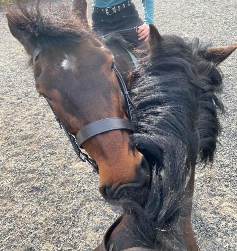 Kay_dosentexist's tweet image. Best fwends (i wasnt the one who took the picture im the one in the pucture)