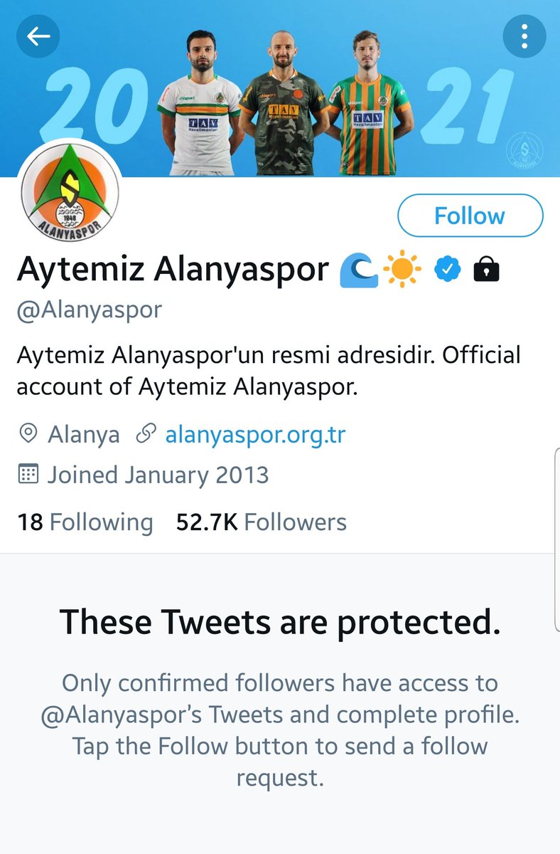 Parçalı Aslan tweet media