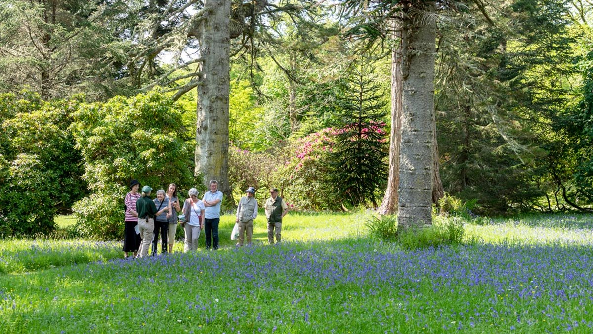 ArmadaleCastle's tweet photo. Garden tour next Tuesday 🌺🌷 - join us at 2pm for a walk in the gardens for the @scottishgdns #springflowerfestival. Free with normal entrance but numbers limited so advance booking on Eventbrite recommended - https://t.co/ywRMgwGOhP https://t.co/EaeuHsT84v