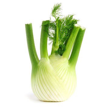 Abbie Chalgoum tweet media