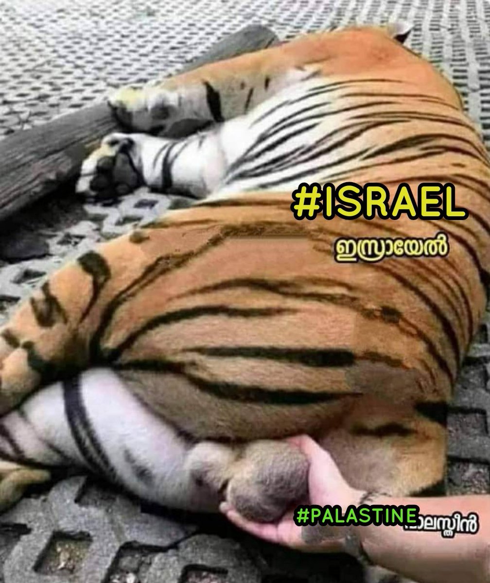 PramodGManu2's tweet photo. @ofirgendelman @IsraeliPM https://t.co/sqbCt2qNlf