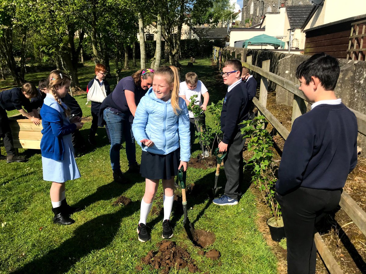 KillowenPS's tweet photo. @StJohnColeraine P6 continue their joint biodiversity project with @RadiusHousing Planting in the garden this lovely day! #BiodiversityProject🌲🍎 https://t.co/1kLTff2pf8