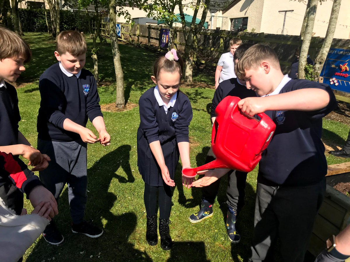 KillowenPS's tweet photo. @StJohnColeraine P6 continue their joint biodiversity project with @RadiusHousing Planting in the garden this lovely day! #BiodiversityProject🌲🍎 https://t.co/1kLTff2pf8