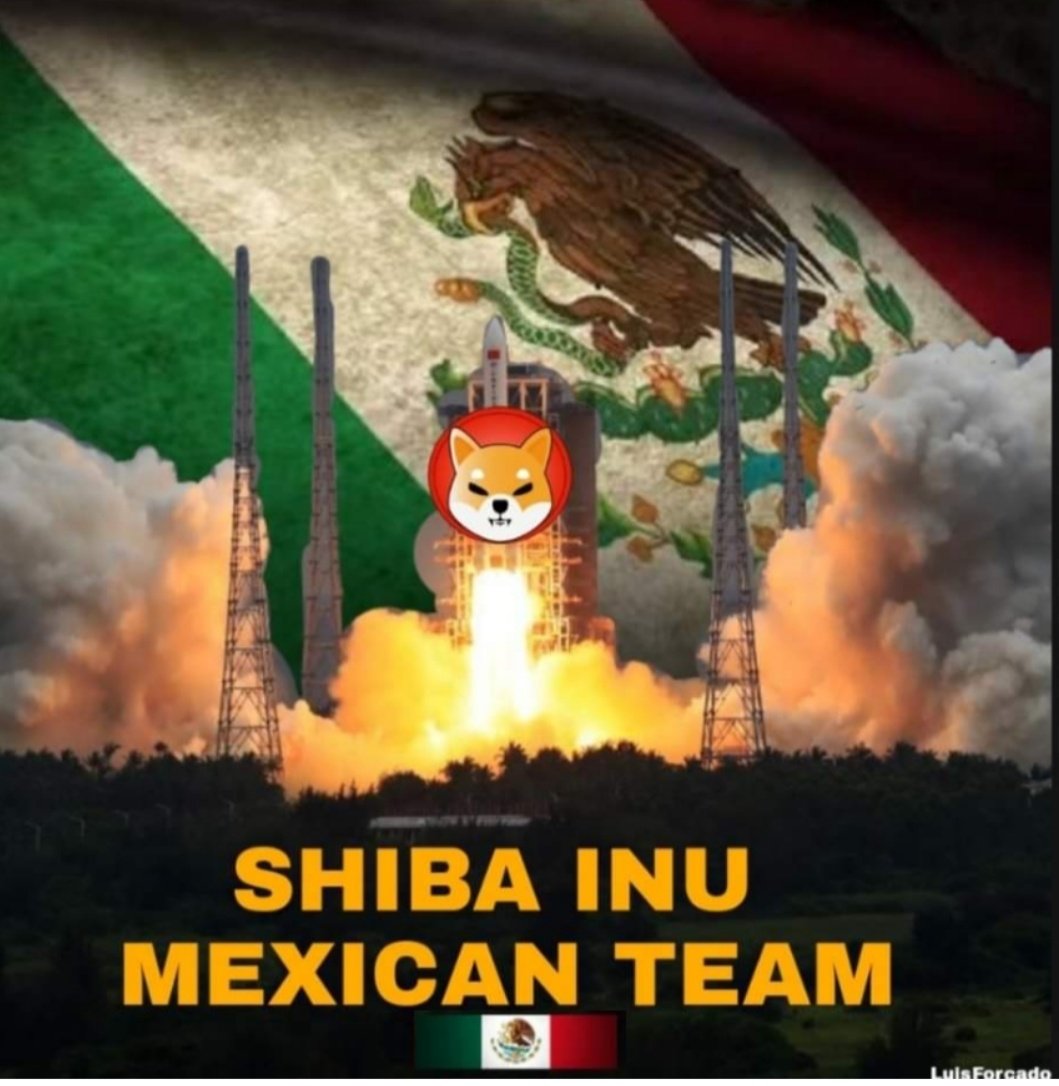 LuisForcadoH's tweet photo. #ShibaArmy #shibainu https://t.co/kEQlf3kJb6