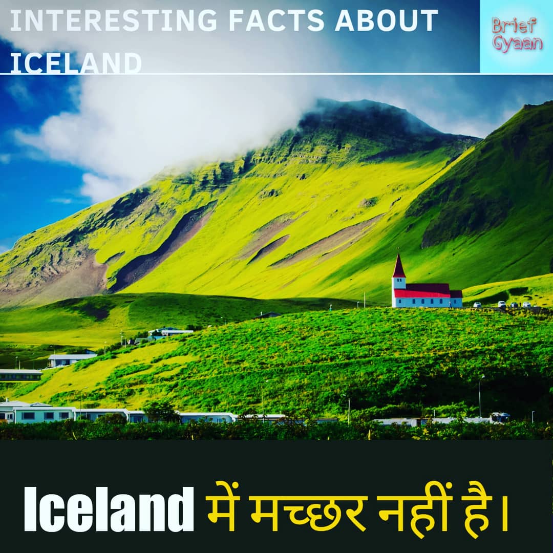 BriefGyaan's tweet photo. Iceland Country Interesting Facts.
.
.
.
#briefgyaan #iceland #iceland🇮🇸 #facts #facts💯 #icelandfacts #army #mcdonalds #country #knowledge #instagram #trending #post #gkworld #interstingfactsaboutworld #twitter #Trending https://t.co/JfPXCZoIW8