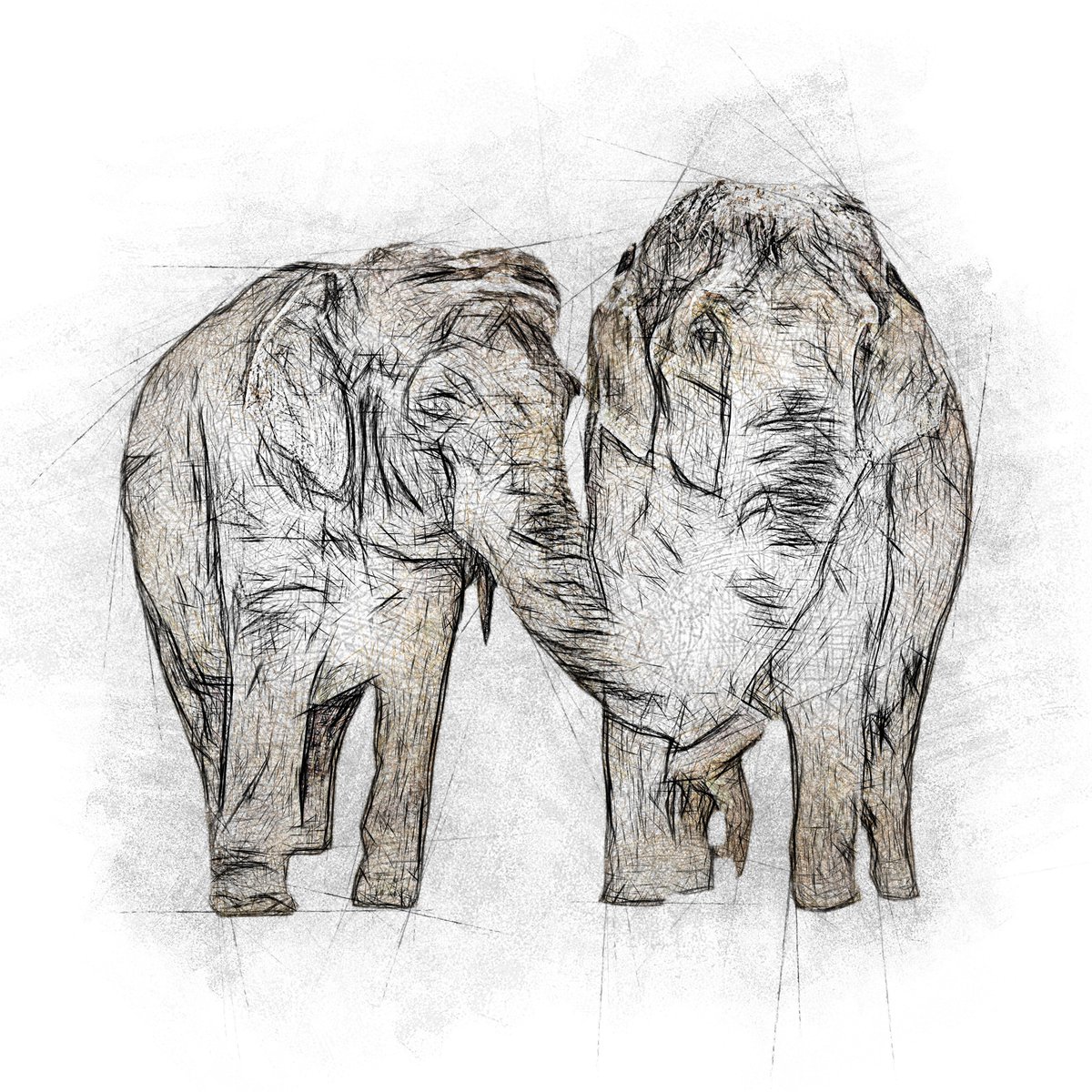 William_Fineart's tweet photo. #Elephants: friendship or love? 🙃
ツ
My friends create #art too: #FiveFriendsArtists https://t.co/6DXoY4lZ29