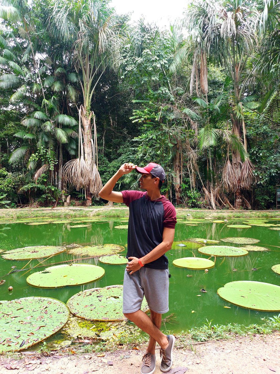 wanderboy__'s tweet photo. Vem que tem bb!
Pode ser na Mata mesmo! 😜
#museudaamazonia https://t.co/tKIWAj7KV1