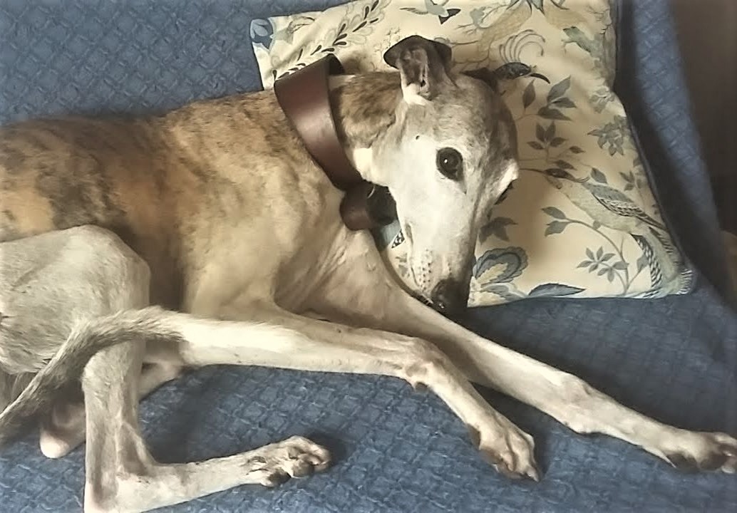 Helen Cunningham tweet media