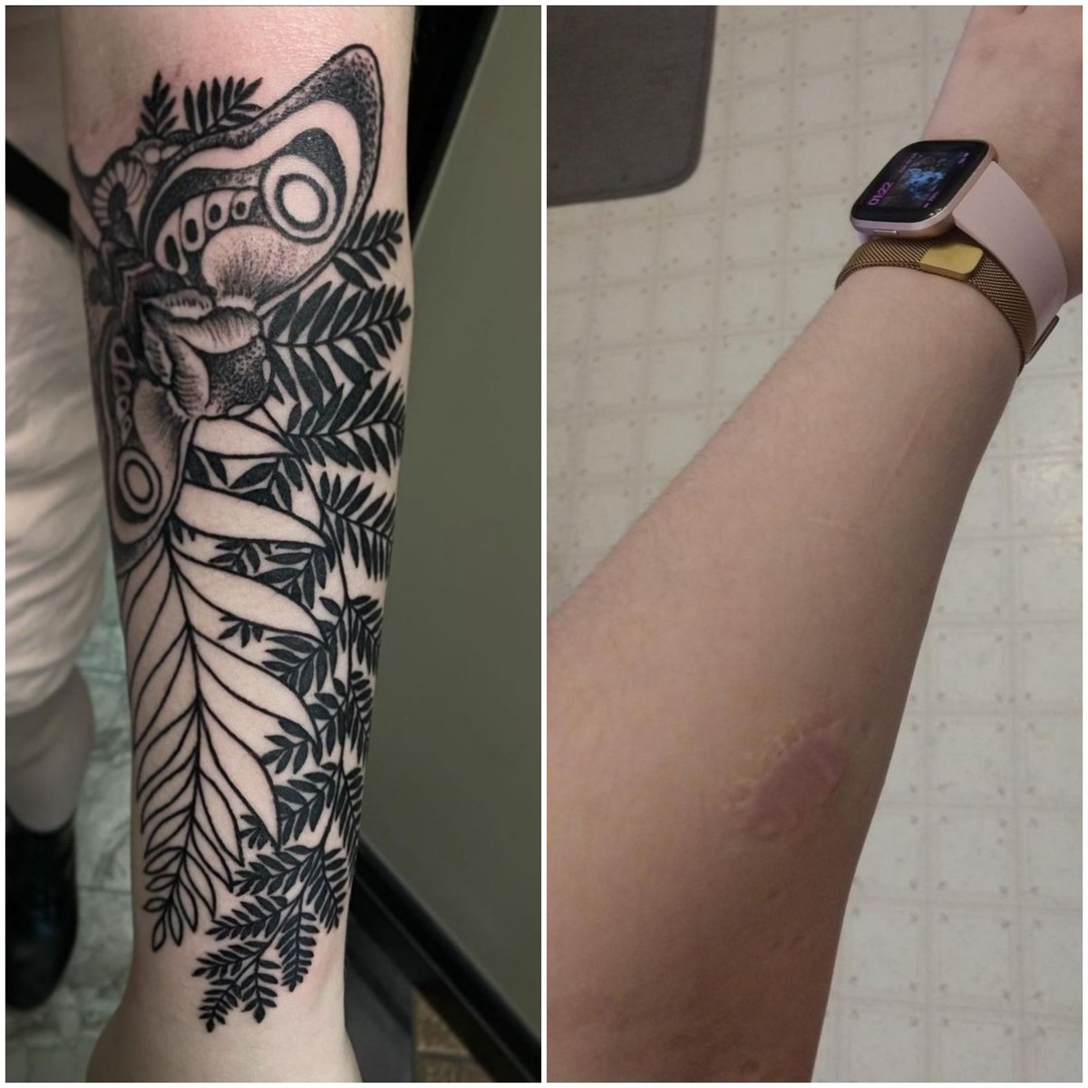 luckybambootatt's tweet photo. Christina did this moth and fern piece to cover-up the scar. The moth as an icon is a symbol of transformation. #mothtattoo #metamorphosis #girlswithtattoos #representation #utahtattoo #besttattoos #tattoolove #the_inkmasters #superb_tattoos #evolvedmagazine #tattoolife https://t.co/s3MzSfIkPk