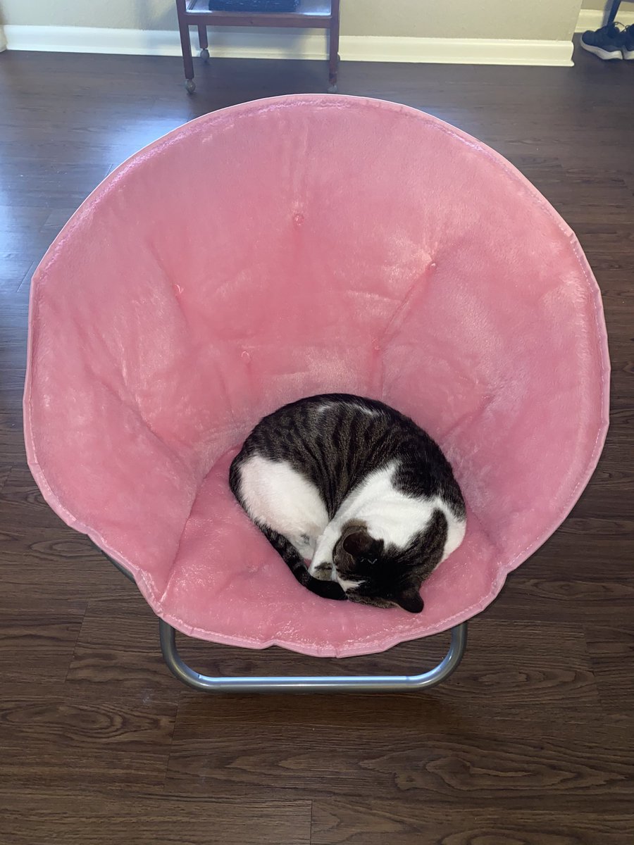 mommy unboxed her new chair and i was in it within about 13 seconds