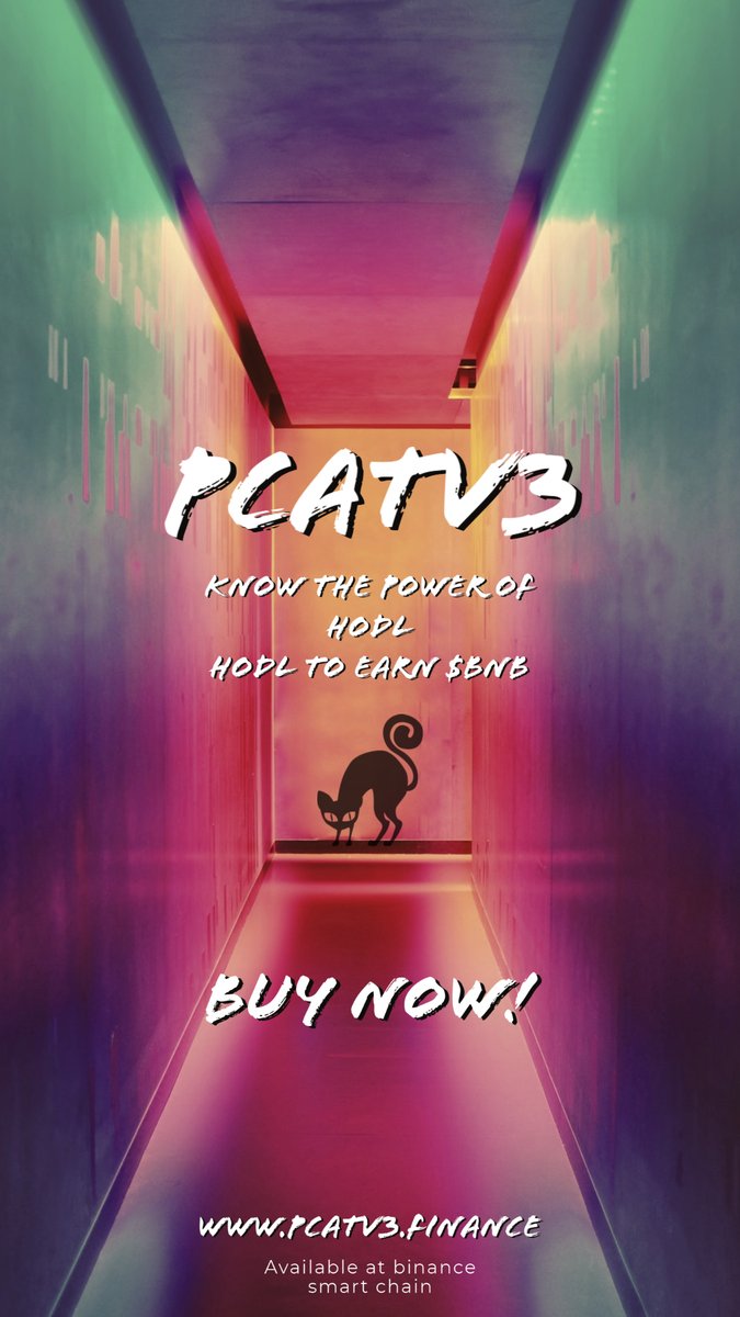 KSMatarmaa's tweet photo. Fuck Elon time to go CATS!  #pCATv3 #shiba #doge #bnb #BTC #altcoins #ALTSEASON @pussycatcore https://t.co/YKRi8aDK62