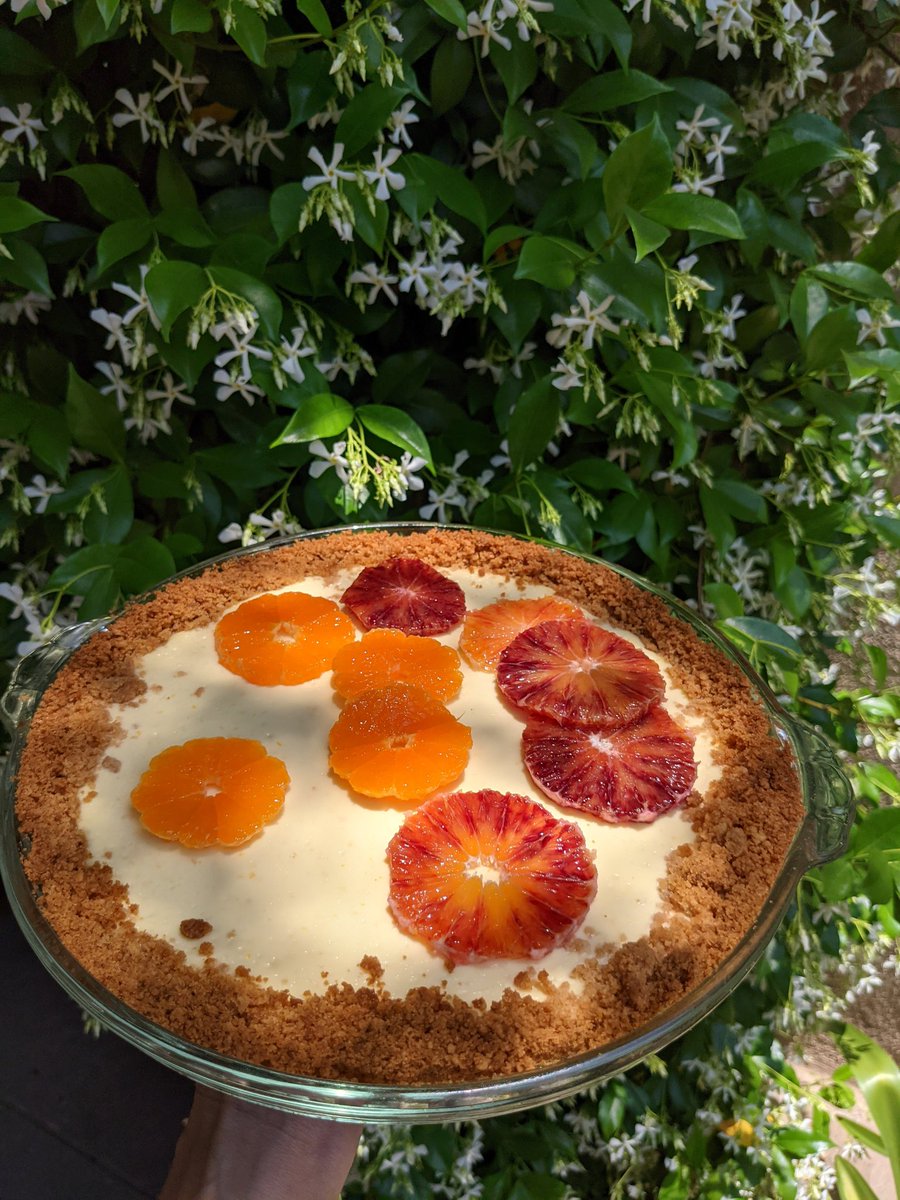 primopezzo's tweet image. This recipe deserved a repeat. And some glamour shots. Citrusy Cheesecake from @alisoneroman 🍊🏅