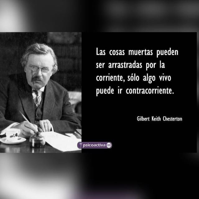 sandra ferrer tweet media