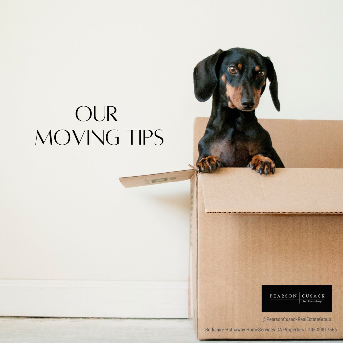 iamjamiep's tweet image. 1. Fill kitchen pots with spices &amp;amp; other small kitchen items.

2. Place hanging clothes directly into garbage bags (like at the dry cleaners).

3. Remove dresser drawers &amp;amp; cover each with plastic wrap (so no need to empty the contents).

Got a favorite #MovingHack to share?