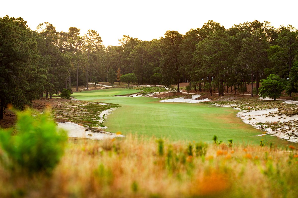 PinehurstResort's tweet image. Ever wonder what it would be like to make Pinehurst No. 2 your office? 

Here's your chance. We're looking for an Assistant Superintendent in Training for No. 2: us59.dayforcehcm.com/CandidatePorta…