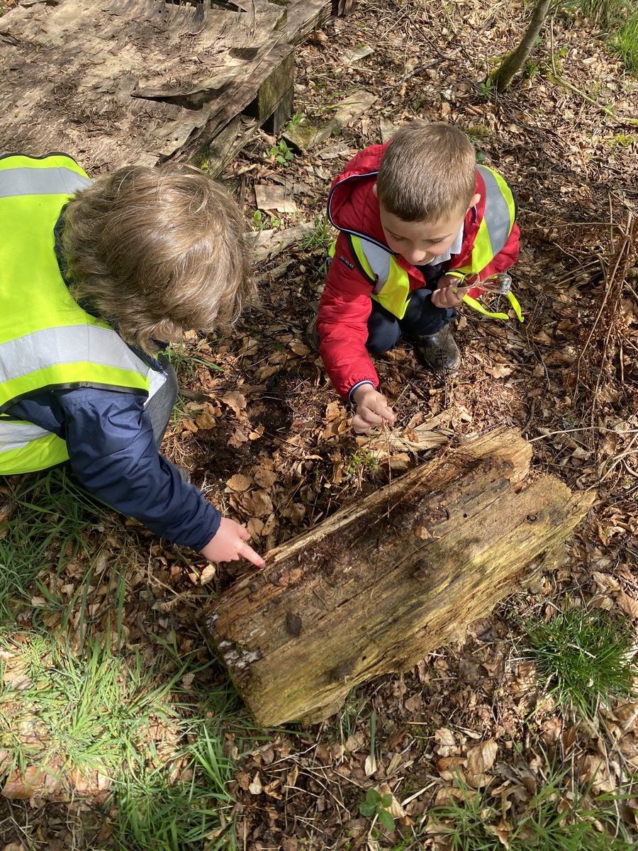 MissWeir95's tweet photo. We went exploring today in P1/2/3 on our beautiful walk around Sorn 😍 We looked out for caterpillars and butterflies 🦋🐛 but instead found a little centipede inside the Bug hotel 🏨 @EACSornPS @eaclost https://t.co/3QUDq1zBGX