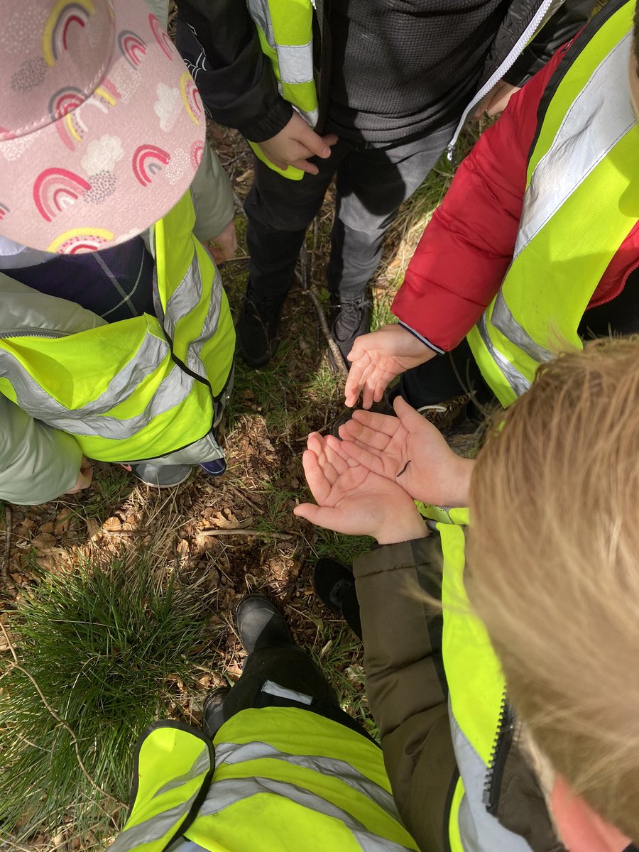MissWeir95's tweet photo. We went exploring today in P1/2/3 on our beautiful walk around Sorn 😍 We looked out for caterpillars and butterflies 🦋🐛 but instead found a little centipede inside the Bug hotel 🏨 @EACSornPS @eaclost https://t.co/3QUDq1zBGX