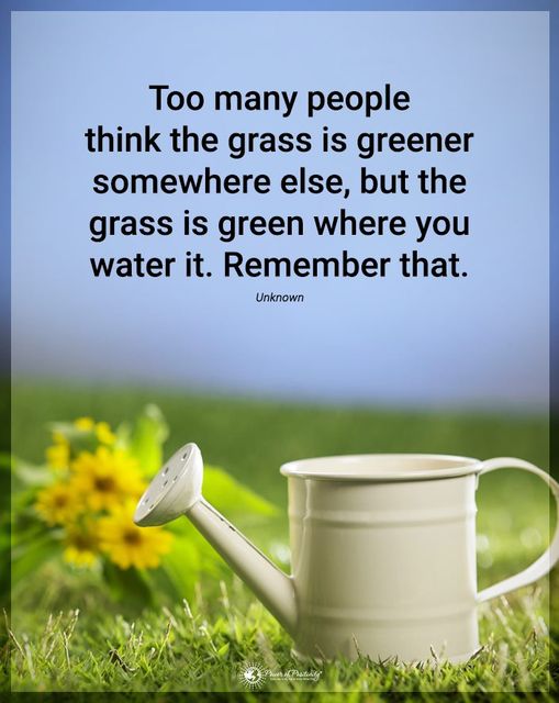 The Mindfulness Meditation Institute (@trainingmindful) on Twitter photo 