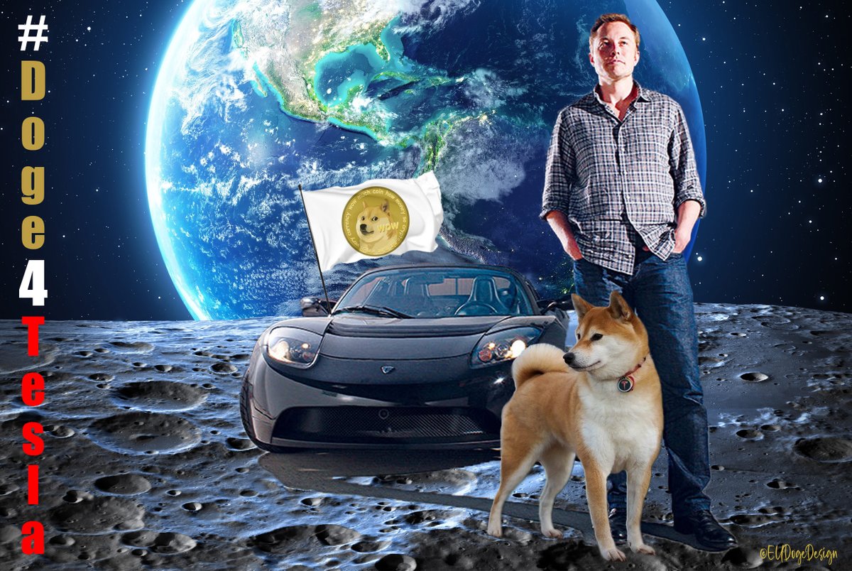✨彡🐕єυ∂σgє∂єѕιgи🐕彡✨ tweet media