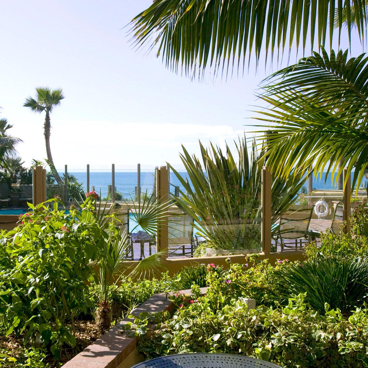 PacificTerrace's tweet image. Surrounded by lush greenery and overlooking the Pacific, our picturesque pool is a tranquil hideaway waiting to be enjoyed ❤️ #oceanfront #beachfront #bestpool