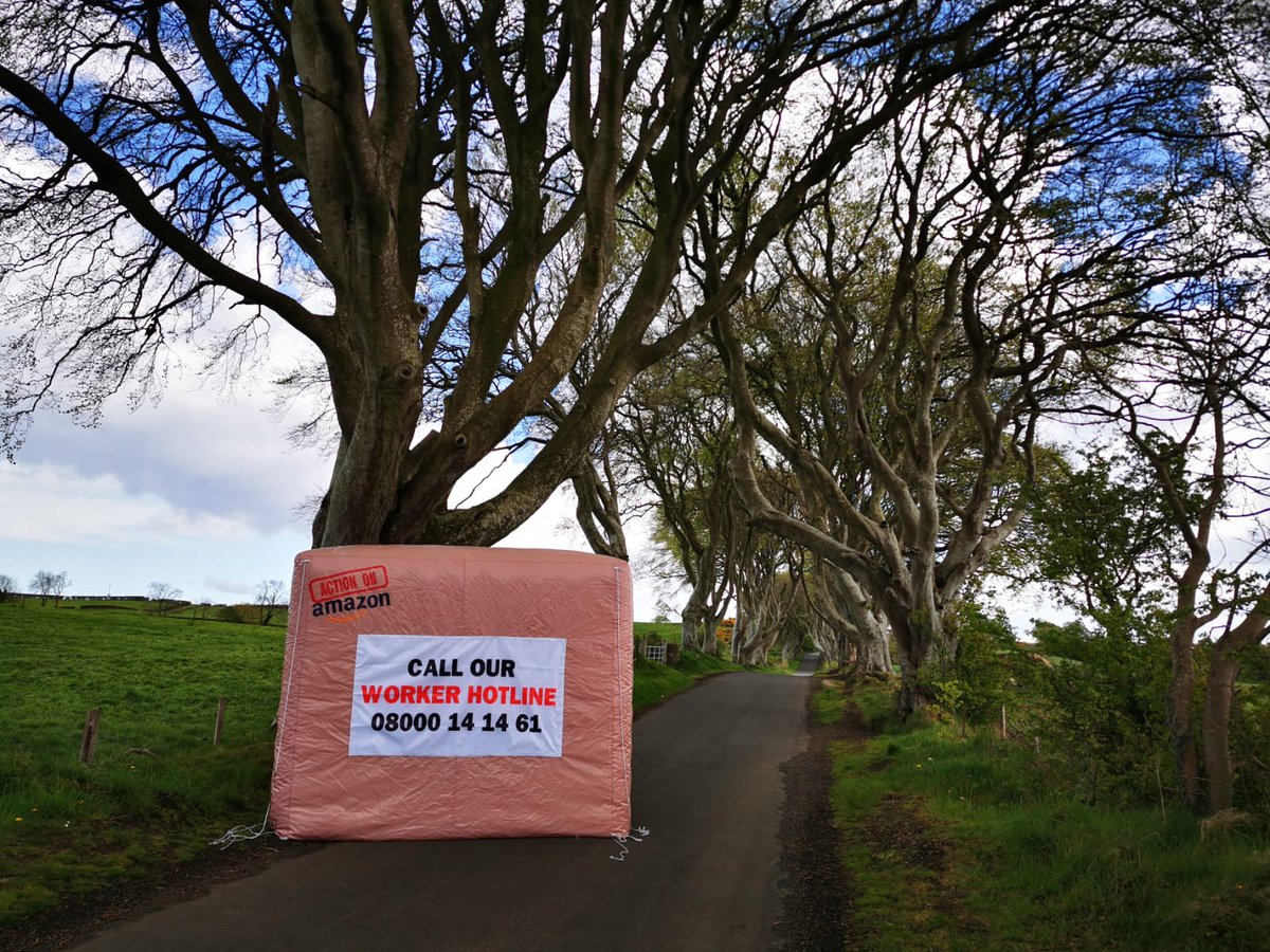 Action on Amazon NI tweet media