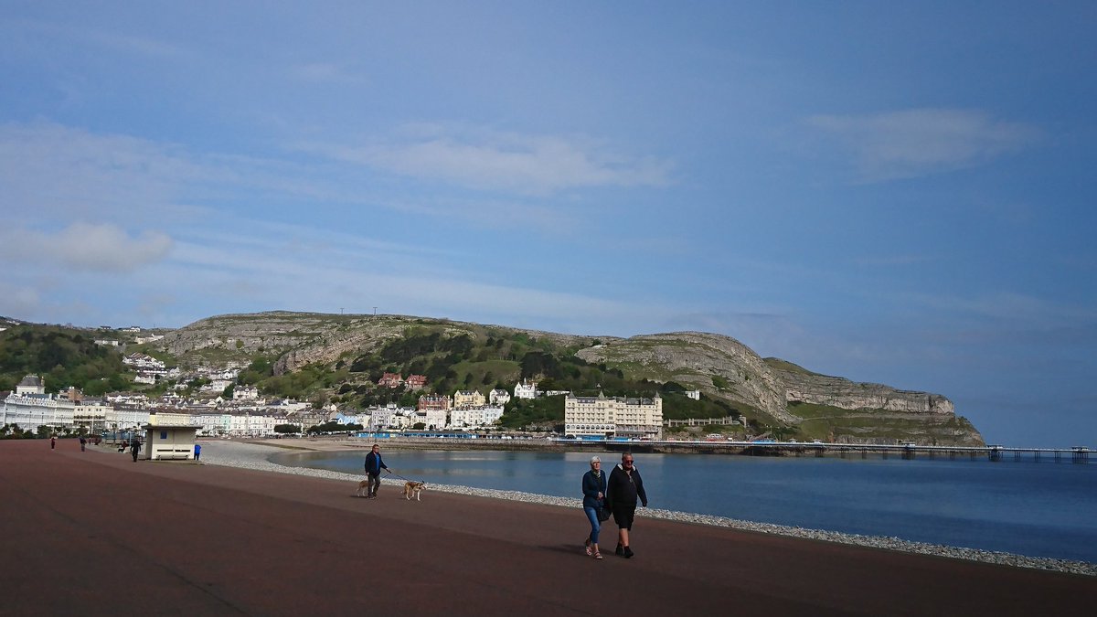 SteveMulville's tweet image. Llandudno springing  back into life #postlockdown 😷.. Tramway up the Orme back on.. 🚎.. Tour Bus back on🚌.. Edging back to normality.. 🤔
Won&apos;t be proper back to normal though till all the kids will be screeching and laughing at Codmans Punch and Judy..
Remember them days..🙄